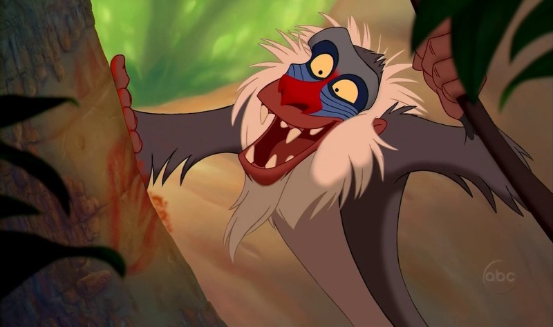 from lionking.wikia.com
